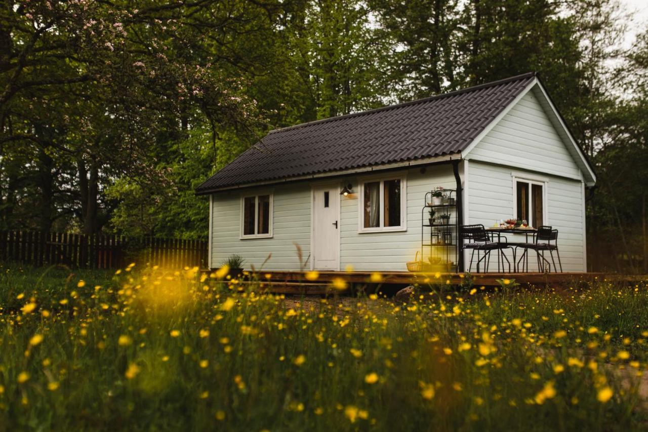 Hotel Juras Maja Ausekli à Kaltene Extérieur photo