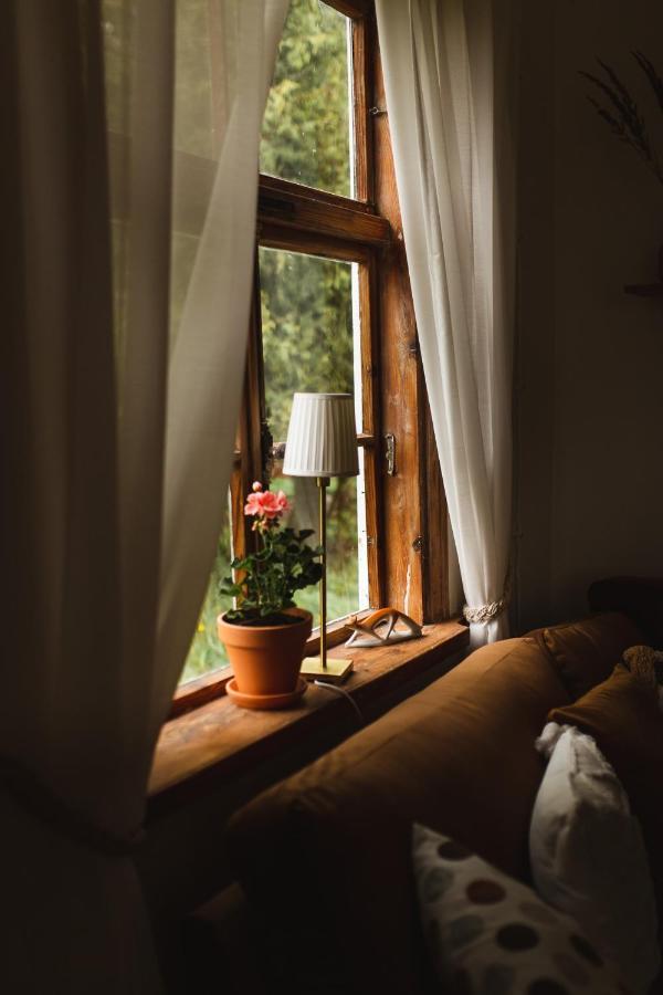 Hotel Juras Maja Ausekli à Kaltene Extérieur photo