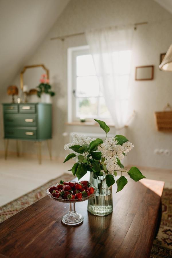 Hotel Juras Maja Ausekli à Kaltene Extérieur photo